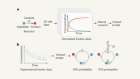 Machine learning classifies catalytic-reaction mechanisms
