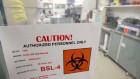Stricter US guidelines for ‘gain-of-function’ research are on the way — maybe