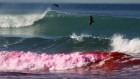 Bright pink ocean and rare wildflower super bloom — February’s best science images