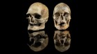 Ancient genomes show how humans escaped Europe’s deep freeze