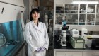 Japan’s rising research stars: Yasuka Toda
