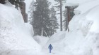What the science says about California’s record–setting snow