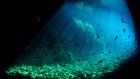 Airborne sonar spies on what lies beneath the waves