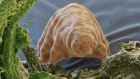 Claws like a tardigrade’s give swimming microrobots a grip