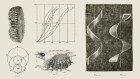 From the archive: a history of climate, and the scent of sitting pheasants