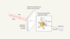 Photon lights a path towards a nuclear clock
