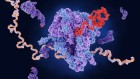 How scientists are hacking the genetic code to give proteins new powers