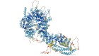 Foldseek gives AlphaFold protein database a rapid search tool
