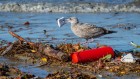 Plastic waste is everywhere — and countries must be held accountable for reducing it