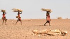 Past climate unravels the eastern African paradox