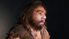 AI search of Neanderthal proteins resurrects ‘extinct’ antibiotics
