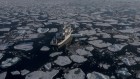 Polar researchers strive for progress despite adverse world events