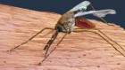 Second malaria vaccine to win global approval is cheaper and easier to make