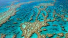 A mystery source of pollution fouling the Great Barrier Reef is found at last