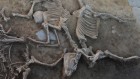 Forty slaughtered horses mark site of ancient mass sacrifices