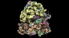A low-cost electron microscope maps proteins at speed