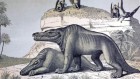 200 years of naming dinosaurs: scientists call for overhaul of antiquated system