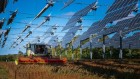 How science is helping farmers to find a balance between agriculture and solar farms