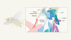 An exploration of how the insect-wing hinge functions