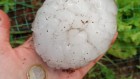 Baseball-sized hail in Spain began with a heatwave at sea