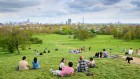 Green space near home has an antidepressant effect