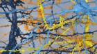 A milestone map of mouse-brain connectivity reveals challenging new terrain for scientists