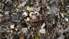 Plastic pollution: three numbers that support a crackdown