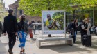 Londoners see what a scientist looks like up close in 50 photographs