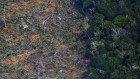 The surprising driver of Amazon deforestation
