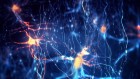 Ultra-detailed brain map shows neurons that encode words’ meaning