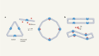 How to design a protein that can be switched on and off