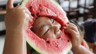 How the watermelon got its sweet taste and rosy hue