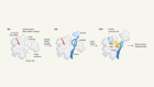 How does the spliceosome dismantle itself?