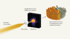 Microchip minutiae imaged using rapid X-ray bursts