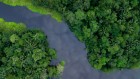 The Amazon is relinquishing its carbon — for a surprising reason