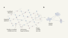 Superconductor surprises with strongly interacting electrons