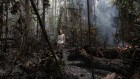 ‘Who will protect us from seeing the world’s largest rainforest burn?’ The mental exhaustion faced by climate scientists