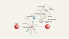 Quarks show that quantum entanglement holds at high energies