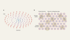 Magnetic whirlpools creep and flow in response to emergent electrodynamics