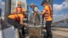 How a ‘billion oysters’ could protect the New York coastline from climate change