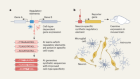 AI-designed DNA sequences regulate cell-type-specific gene expression