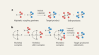 Reaction for coupling 3D molecular fragments expands the chemist’s toolkit