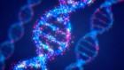 DNA stores data in bits after epigenetic upgrade