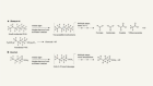 Catalysts degrade forever chemicals with visible light