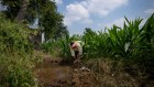 India’s US$20-billion fertilizer subsidies could do more for farmers — here’s how