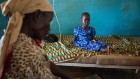 Resistance to crucial malaria drug detected in severely ill kids in Africa