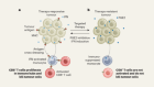 A lipid made by tumour cells reprograms immune cells