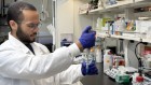 Do you need extra training before graduate school? Consider a post-baccalaureate position