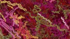 CRISPR genome-editing grows up: advanced therapies head for the clinic