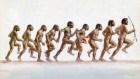 Humans evolved for distance running — but ancestor ‘Lucy’ didn’t go far or fast